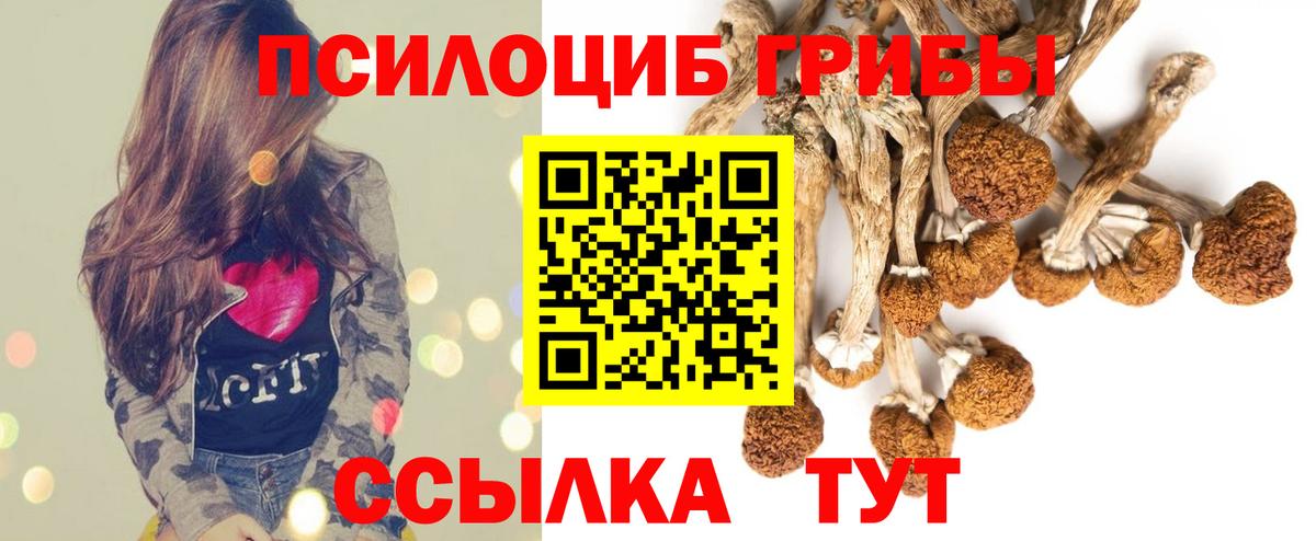 Галлюциногенные грибы прущие грибы Южноуральск